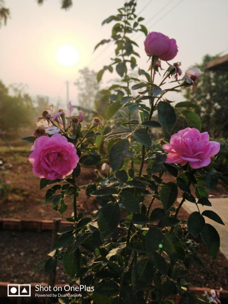 Shree Samarth Farmhouse Murud  Bagian luar foto