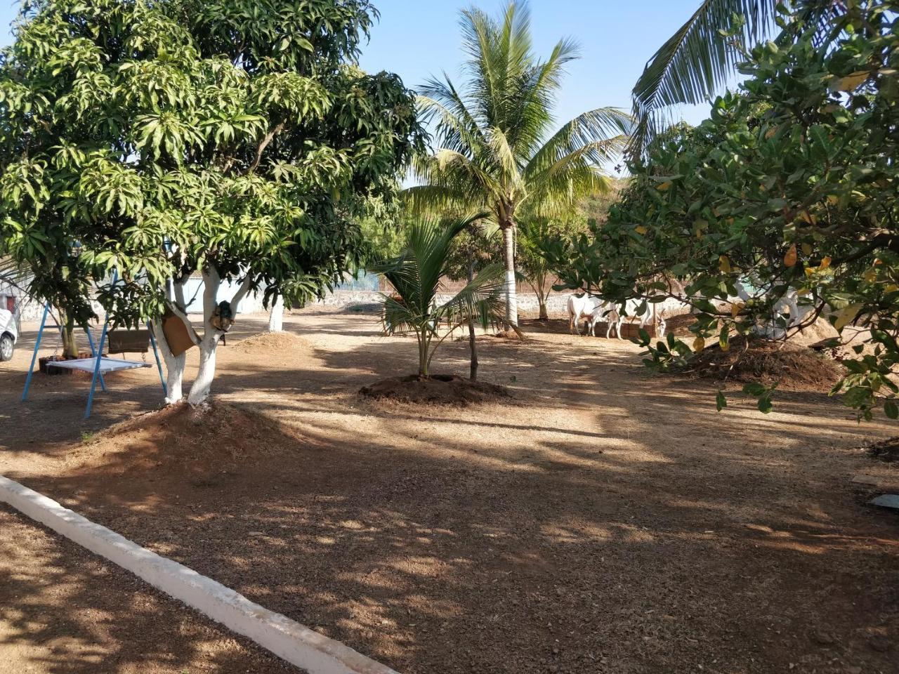 Shree Samarth Farmhouse Murud  Bagian luar foto