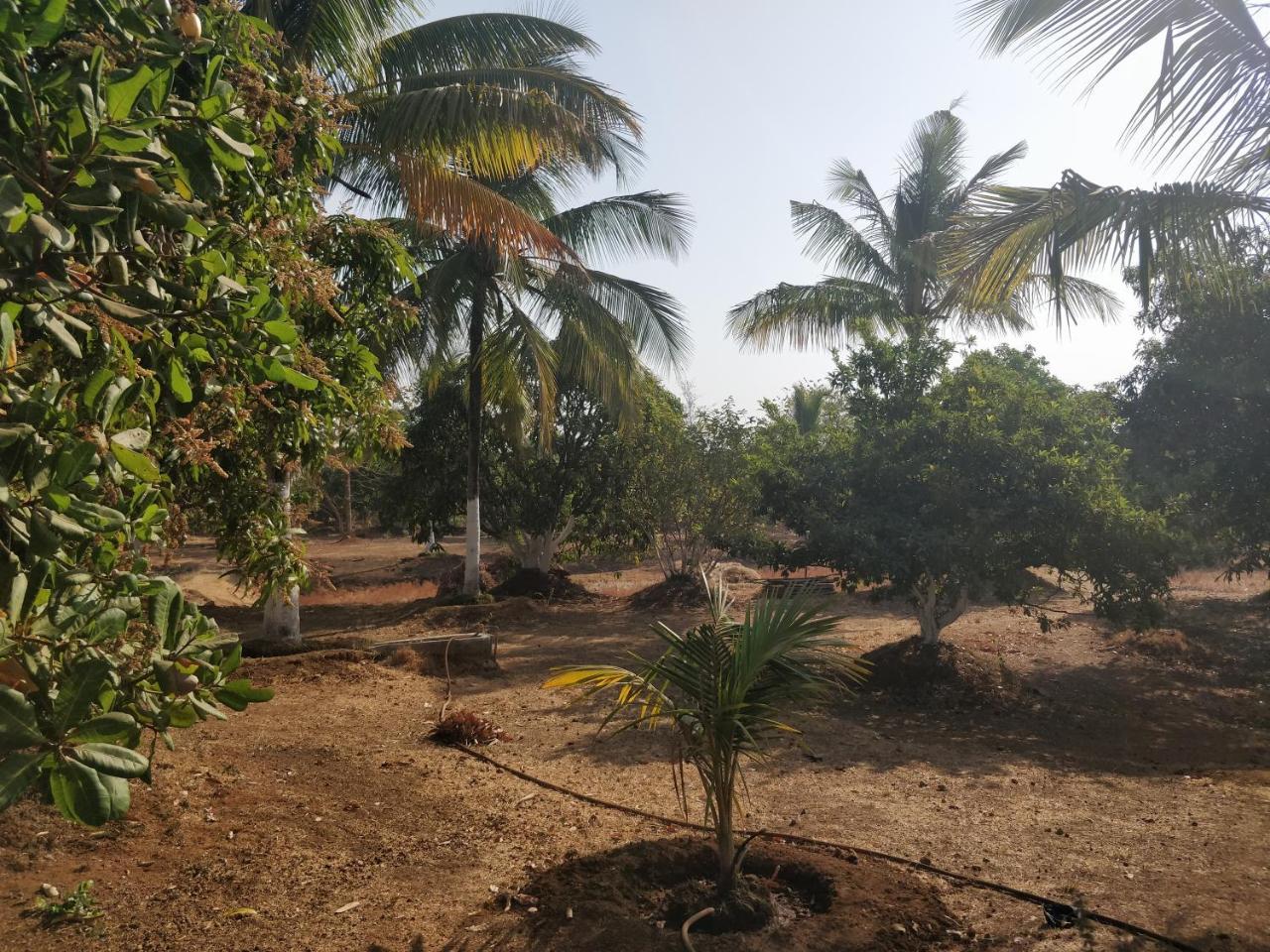 Shree Samarth Farmhouse Murud  Bagian luar foto